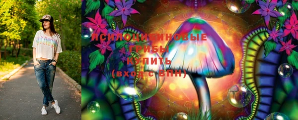 мдпв Краснотурьинск