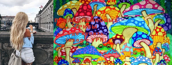 мет Калининец
