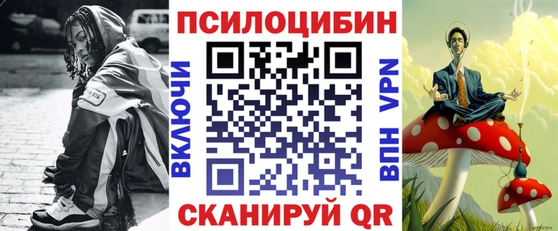Купить закладки  Нюрба  Псилоцибиновые грибы мухоморы 